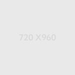 Double-Breasted Trench Coat